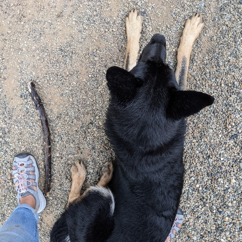 Meet your Posher, Jen